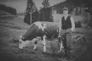 Altes Foto von Mann neben einer Kuh